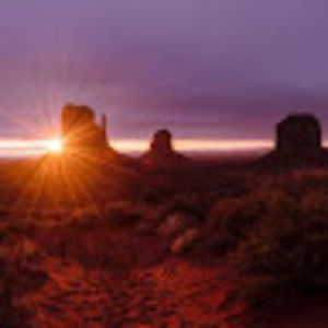 Meet your Posher, Teddy